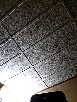 zaneporter46 online show from 25, 2, 2025