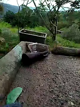 crazysex095 online show from 2, 1, 2025