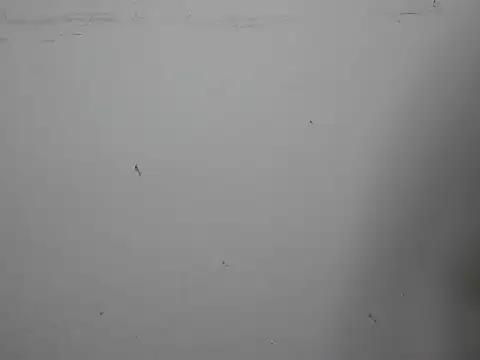 Snapshot of GoddessGlide chatting on 16, 3, 2025 GoddessGlide online show from 16, 3, 2025