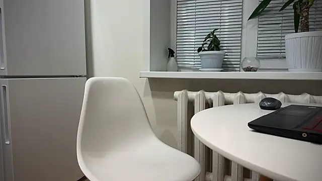 Snapshot of BrendanSilvers chatting on 25, 12, 2024 BrendanSilvers online show from 25, 12, 2024