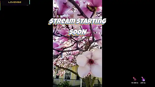 Hackensackneil online show from 29, 7, 2026