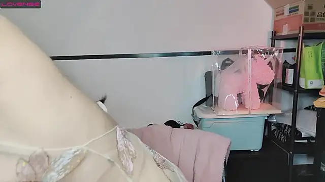 Snapshot of diandian-866 chatting on 20, 2, 2025 diandian-866 online show from 20, 2, 2025