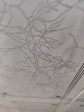 Snapshot of dreamers_dick chatting on 2, 1, 2025 dreamers dick online show from 2, 1, 2025