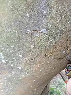 BELLA--26 online show from 2, 2, 2025