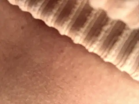 BELLA--26 online show from 17, 9, 2025