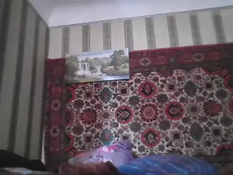 AlferezzSolvajo online show from 5, 3, 2025