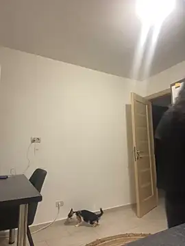 NNNoire online show from 26, 9, 2025