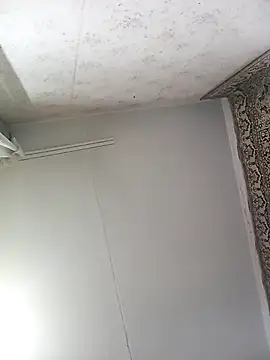 Lauren Amabel online show from 12, 11, 2025