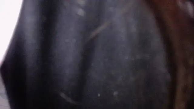 Sarita v  online show from 6, 2, 2025