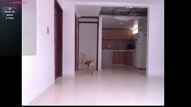 leslycarsson online show from 7, 10, 2025