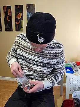 SoxxyNsh online show from 15, 2, 2026