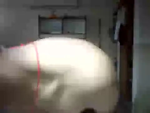 Snapshot of venom26 chatting on 14, 9, 2025 venom26 online show from 14, 9, 2025