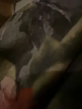 Snapshot of QTeepye chatting on 19, 2, 2026 QTeepye online show from 19, 2, 2026