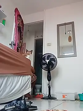 Snapshot of Munnoki chatting on 2, 4, 2026 Munnoki online show from 2, 4, 2026