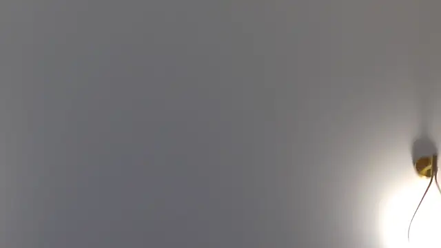 Snapshot of Lilliana_Moon chatting on 30, 1, 2025 Lilliana Moon online show from 30, 1, 2025