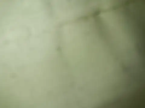 Snapshot of Ktosik88 chatting on 18, 1, 2026 Ktosik88 online show from 18, 1, 2026