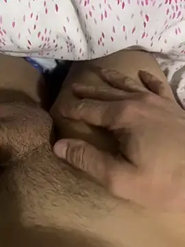 zoltard 1911 online show from 2, 2, 2025