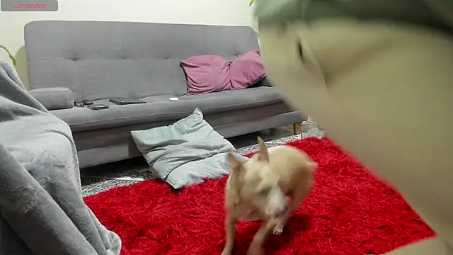 Salvatore costa online show from 19, 9, 2025