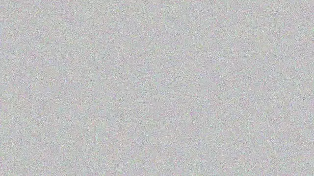 Snapshot of Elsa-bad chatting on 22, 2, 2025 Elsa-bad online show from 22, 2, 2025