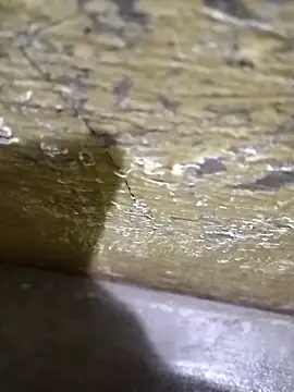 Southindian6996 online show from 26, 2, 2025