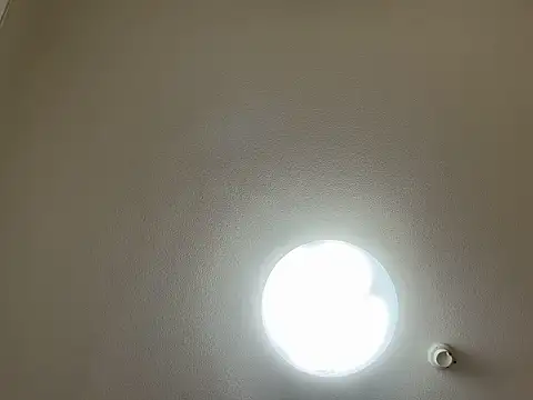 riri riri jp online show from 31, 3, 2026