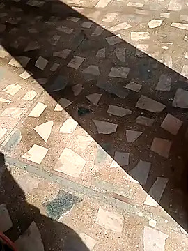 Snapshot of Raj41 chatting on 13, 11, 2025 Raj41 online show from 13, 11, 2025