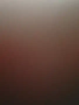 Raj41 online show from 31, 3, 2026