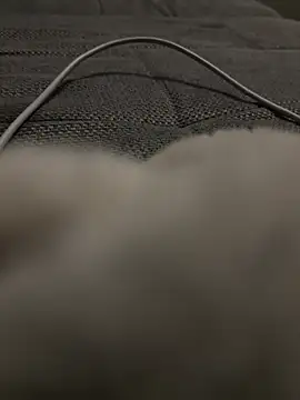 Snapshot of hengst2312 chatting on 20, 1, 2025 hengst2312 online show from 20, 1, 2025