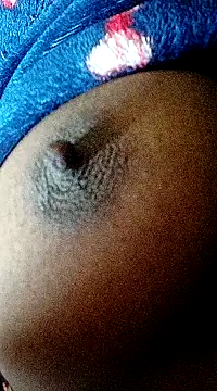 pk509481 online show from 27, 1, 2025