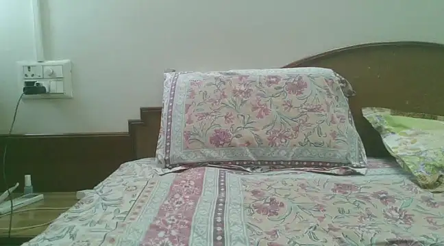 Snapshot of great_nam_par chatting on 25, 1, 2025 great nam par online show from 25, 1, 2025