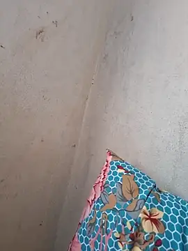 novinhatransexy online show from 19, 11, 2025