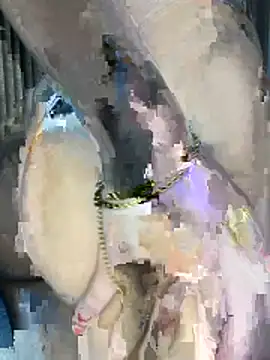 perolaa8 online show from 17, 3, 2026