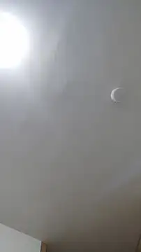 Snapshot of ruby__00 chatting on 8, 3, 2025 ruby 00 online show from 8, 3, 2025