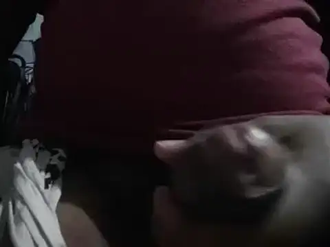 Snapshot of lolboy1234Z chatting on 23, 1, 2025 lolboy1234Z online show from 23, 1, 2025