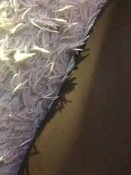 staroill online show from 20, 2, 2025