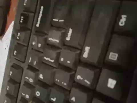 world bigdick1 online show from 17, 3, 2026