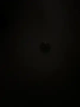 Snapshot of Boneca25 chatting on 5, 2, 2026 Boneca25 online show from 5, 2, 2026