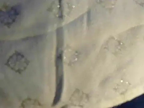 Cutie Pie1p online show from 19, 3, 2025