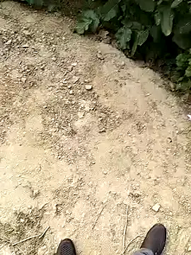 xmanrawan2 online show from 30, 1, 2025