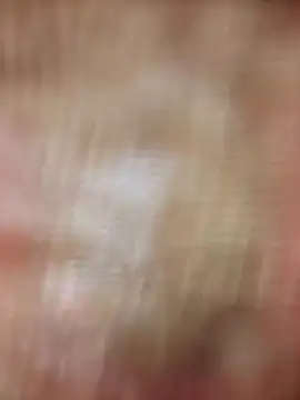 xmanrawan2 online show from 20, 2, 2025