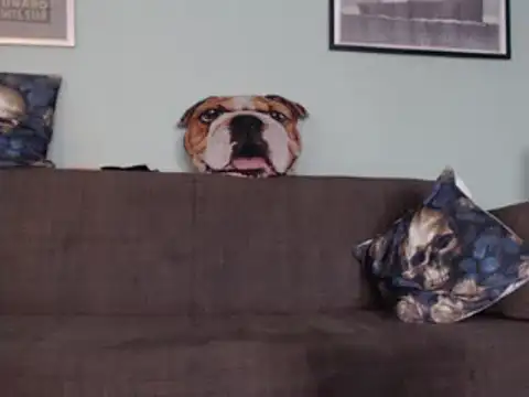 Snapshot of Astrid-Gilbert chatting on 5, 2, 2025 Astrid-Gilbert online show from 5, 2, 2025