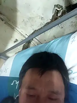 wadmma online show from 31, 3, 2026