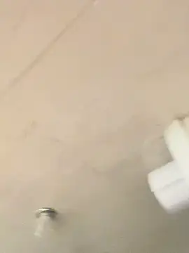 ashanty queen online show from 5, 3, 2025