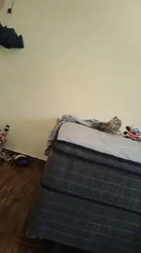Snapshot of JapeDoBryan chatting on 16, 5, 2026 JapeDoBryan online show from 16, 5, 2026