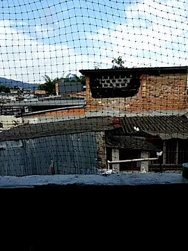 Niick01  online show from 9, 11, 2025