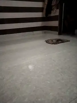 sdfuubjkn online show from 28, 4, 2026