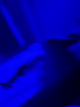 bigbola304 online show from 31, 3, 2026