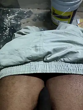 omni 333 online show from 19, 2, 2026