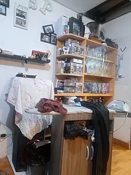 Snapshot of rodos chatting on 10, 9, 2025 rodos online show from 10, 9, 2025