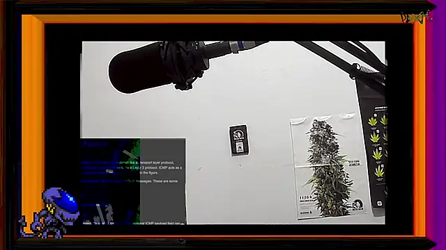 Snapshot of ReyDeBotones chatting on 13, 3, 2025 ReyDeBotones online show from 13, 3, 2025